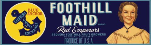 Foothill Maid